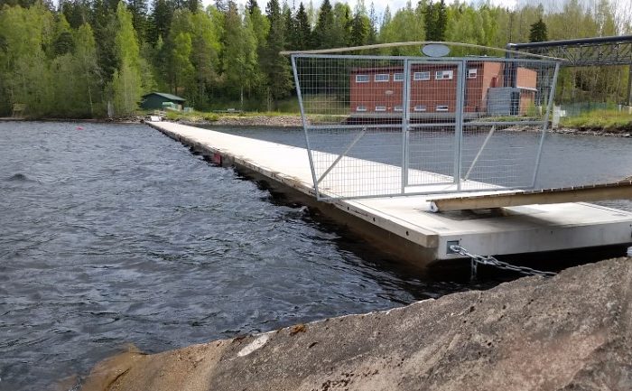 Roskapuomi